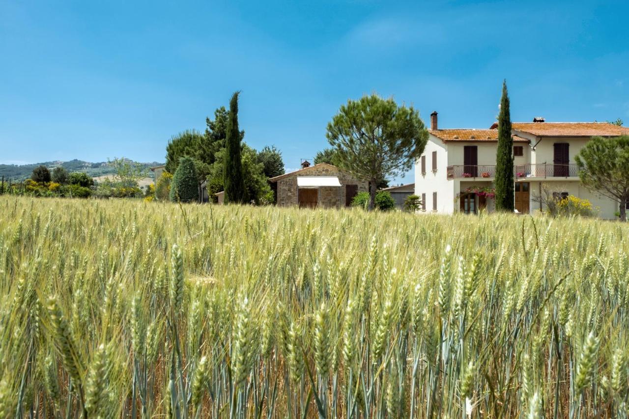 Agriturismo San Marcello Кастильоне-д'Орчия Экстерьер фото